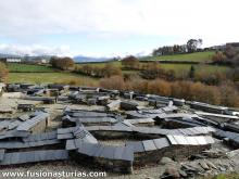 Plantas viviendas Plantas viviendas